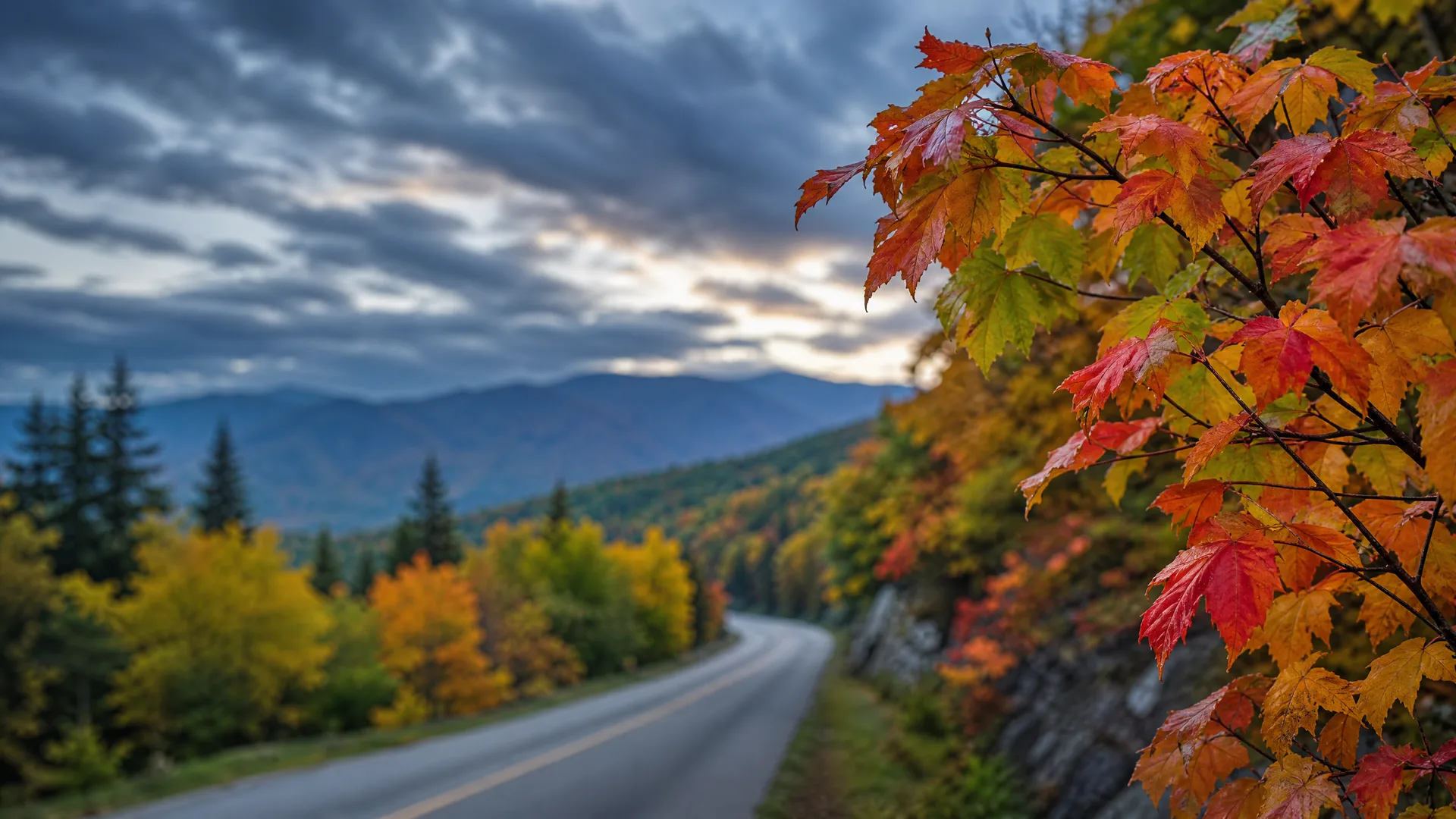 A curving two-lane paved road descends through forested hills with orange and yellow autumn foliage, with blurred mountains and a cloudy sky in the background and red maple leaves in sharp focus in the right foreground.